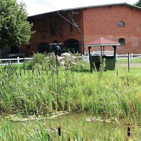 Hof Thomsen Lägenhet Gross Kordshagen Exteriör bild